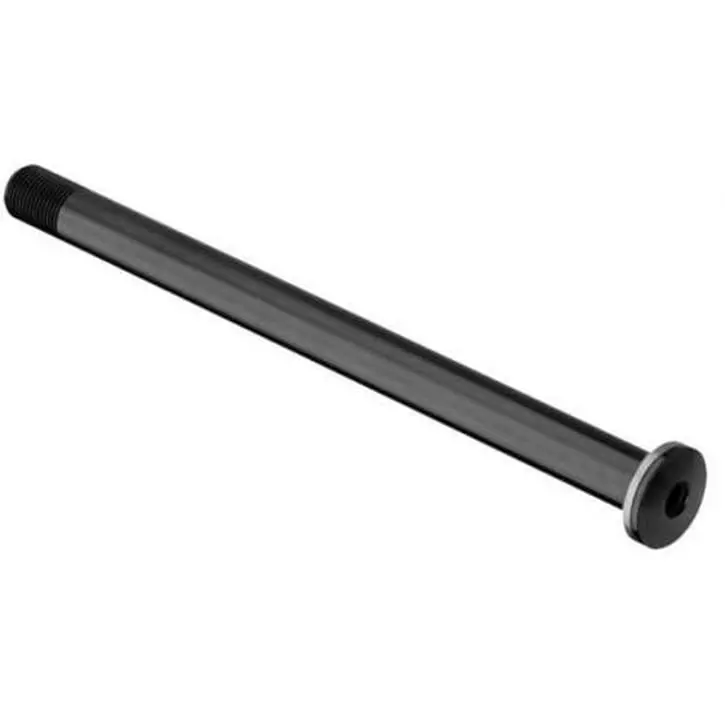 Dt-swiss DT Swiss RWS Plug In 12 X 100 Mm E-Thru Road